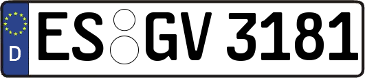 ES-GV3181