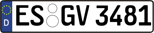 ES-GV3481