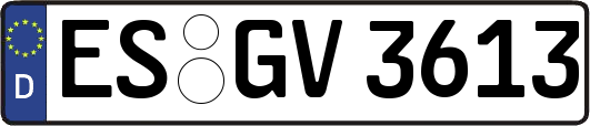 ES-GV3613