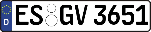ES-GV3651