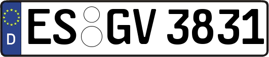 ES-GV3831