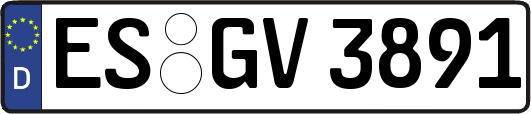 ES-GV3891