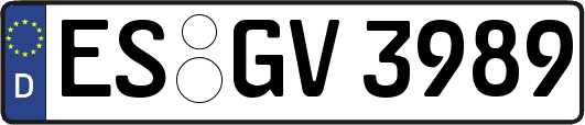 ES-GV3989