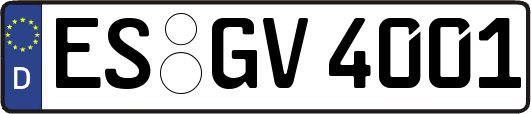 ES-GV4001