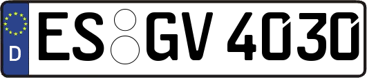 ES-GV4030