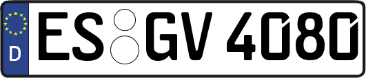 ES-GV4080