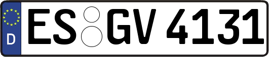 ES-GV4131