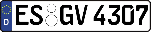 ES-GV4307
