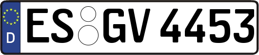ES-GV4453