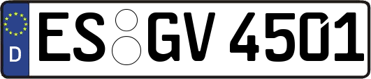 ES-GV4501