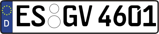 ES-GV4601