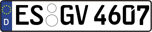 ES-GV4607