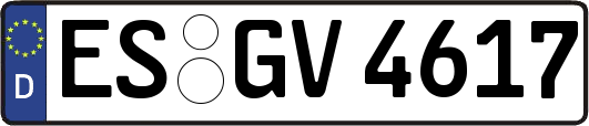 ES-GV4617