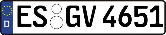 ES-GV4651