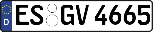 ES-GV4665