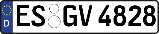 ES-GV4828