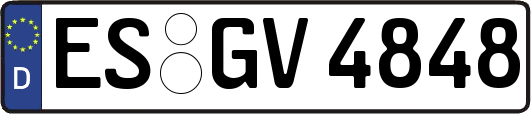 ES-GV4848