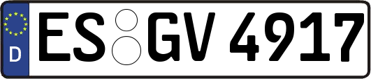 ES-GV4917