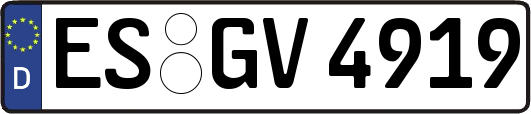 ES-GV4919