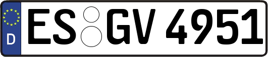 ES-GV4951