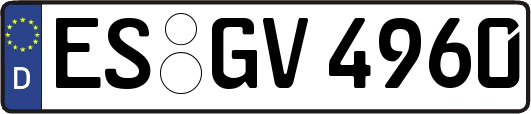 ES-GV4960