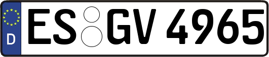 ES-GV4965