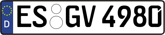 ES-GV4980