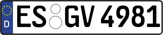 ES-GV4981