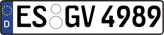ES-GV4989