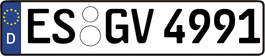 ES-GV4991