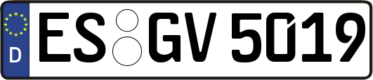 ES-GV5019