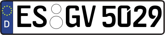 ES-GV5029