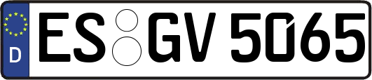 ES-GV5065