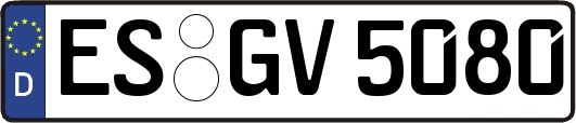 ES-GV5080