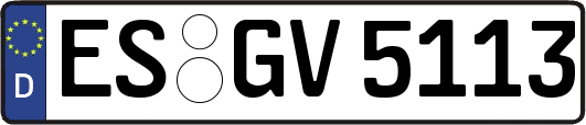 ES-GV5113