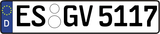 ES-GV5117