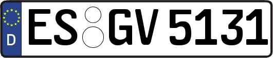 ES-GV5131