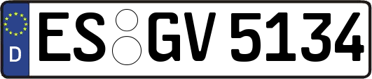 ES-GV5134
