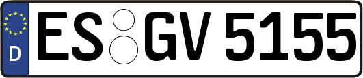 ES-GV5155