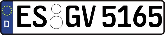ES-GV5165
