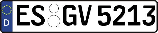 ES-GV5213