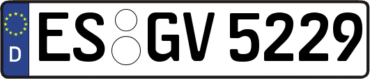 ES-GV5229