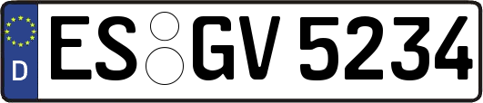 ES-GV5234