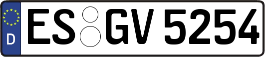 ES-GV5254