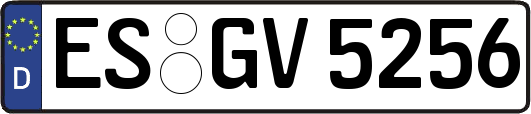ES-GV5256