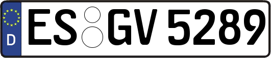 ES-GV5289