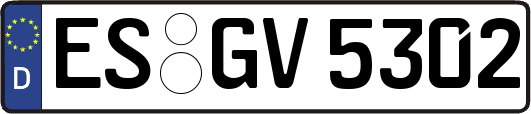 ES-GV5302
