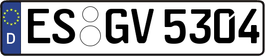 ES-GV5304