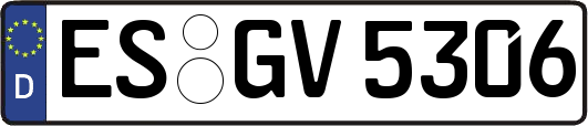 ES-GV5306