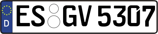 ES-GV5307
